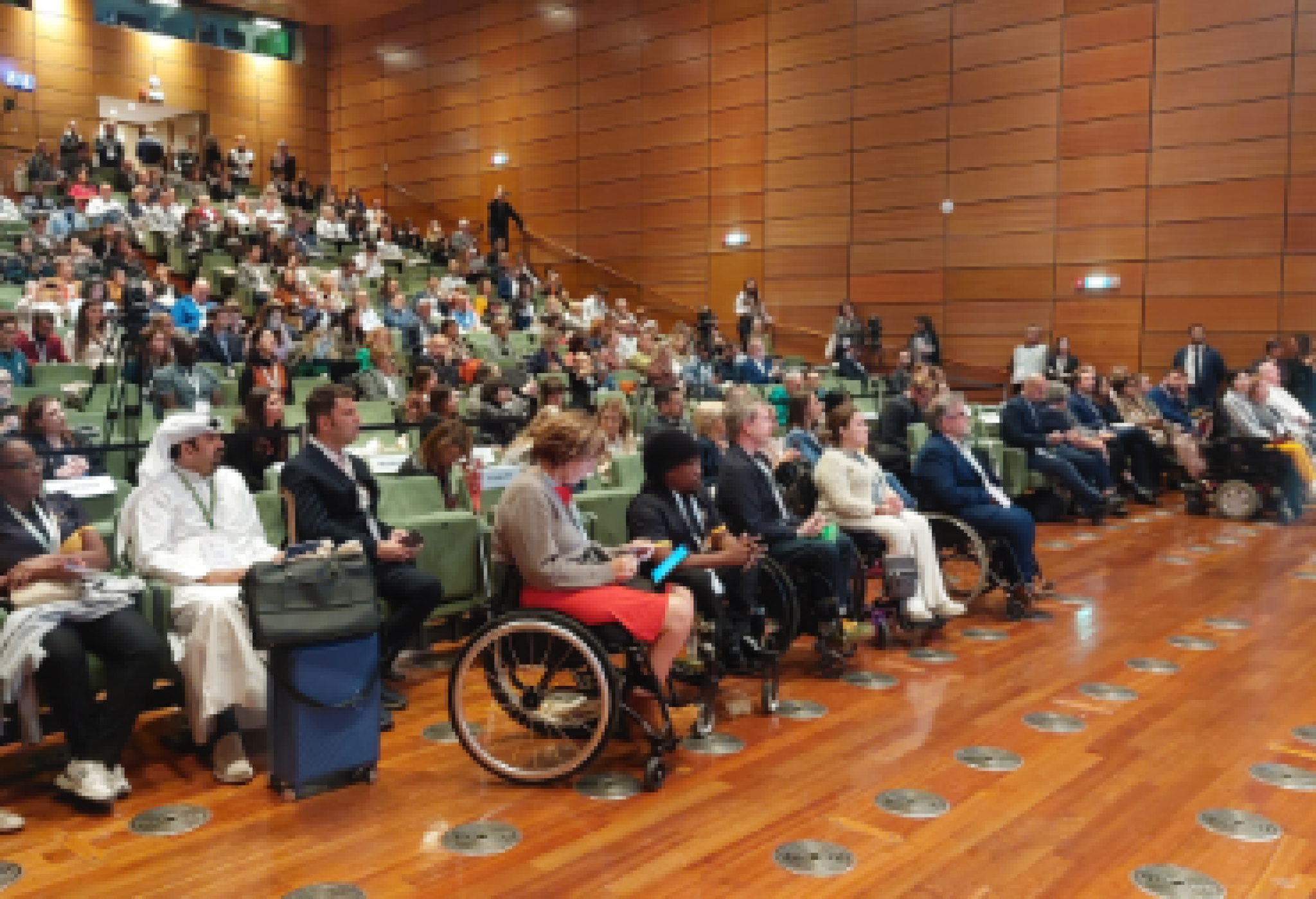 La platea cosmopolita al Summit Mondiale del Turismo Accessibile, svoltosi recentemente a Torino (per l'immagine ringraziamo Fabrizio Vespa)